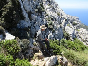 IMG_6424 (Medium)